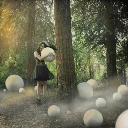 3000grad Festival 3022 form background DOWNLOAD