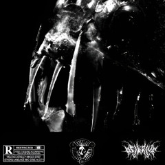 REJKRUNE - VIPERFISH