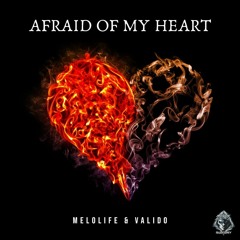 Melolife & Valido - Afraid Of My Heart