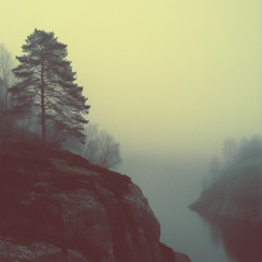 Evening Veil