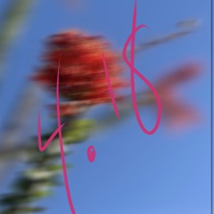 Courtyard Session 4.18