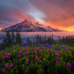 good things will come