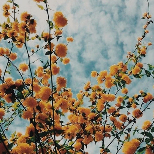 kodaline-Brother sped up