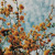 Artwork for kodaline-Brother sped up