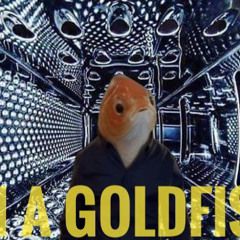 GOLDFISH