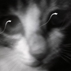 techno_meow >.< ..//dj kolbasa /..@!$$#33