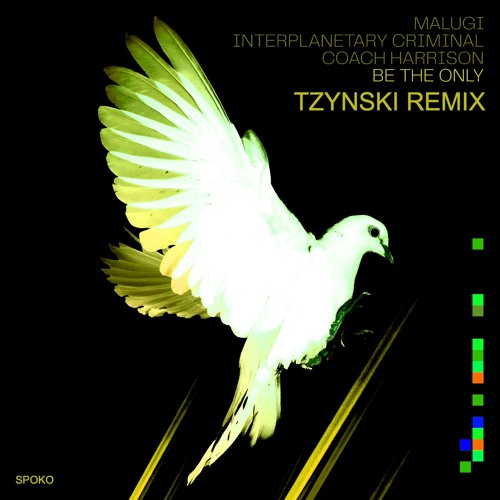 Malugi x Interplanetary Criminal - Be The Only (Tzynski Remix)