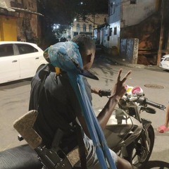 BZ CRIA - MEDLEY 01 CPX DA BALEEIRA TROPA DO FERA (( DJ PROIBIDO ))