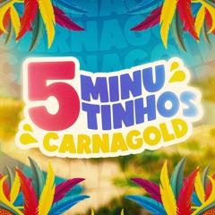 5 MINUTINHOS DE CARNAGOLD (@djlddafavelinha)