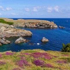 Belle ile
