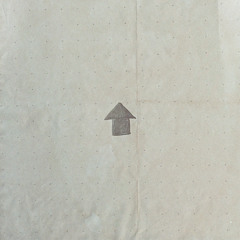 배추흰나비 (sketch)