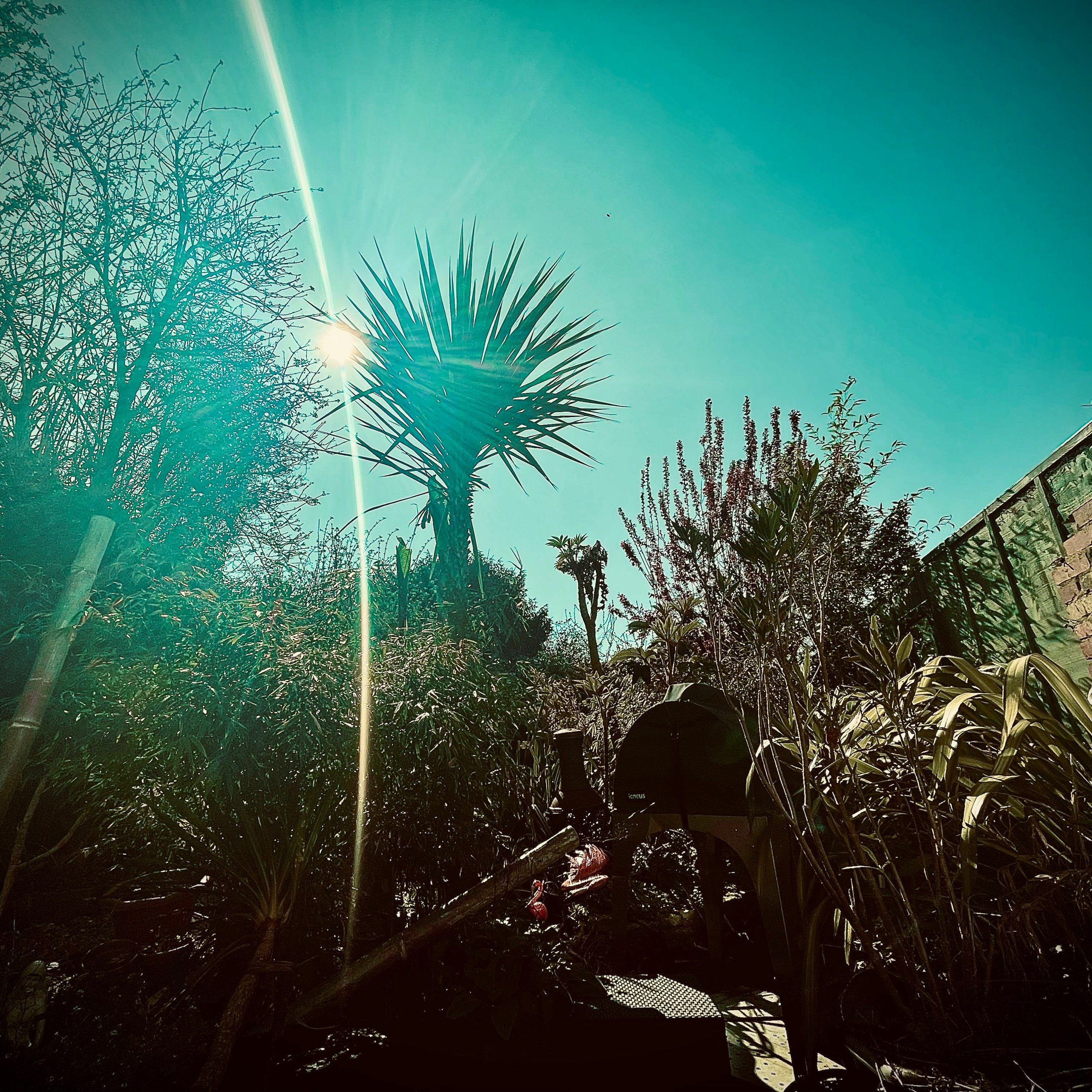 Tropical Techno Podcast