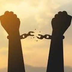 Free   Osaze Qeb.Ft MacTee SA