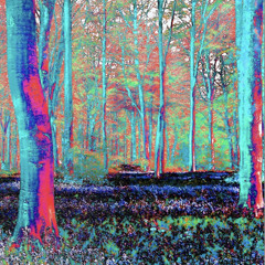 seeing different frequencies(@prodbybloom)-J