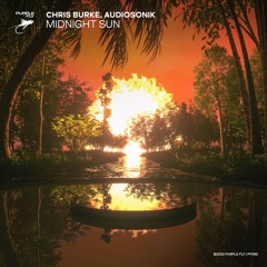 Chris Burke, Audiosonik - Midnight Sun