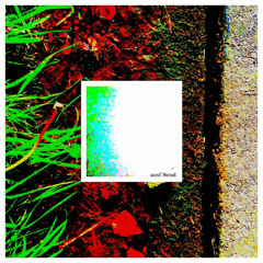 Beachy Journey Rainforesty Movies (feat. Matt Warren) • single