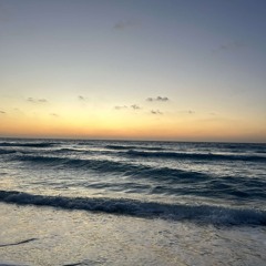 FREE PALESTINE🇵🇸