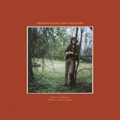 Spencer Cullum's Coin Collection - High On A Rocky Ledge