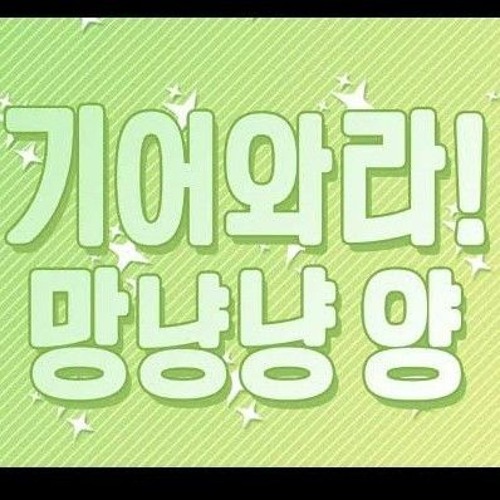 기어와라 망냥냥양