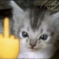 🙂‍↕️🙂‍↕️🙂‍↕️