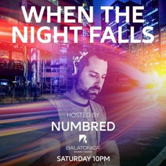 Numbred - When The Night Falls 163