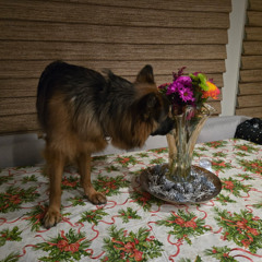 wish me well (prod.14VVS)