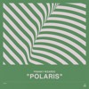 LTFR002 A.1 - Franky Rizardo - Polaris