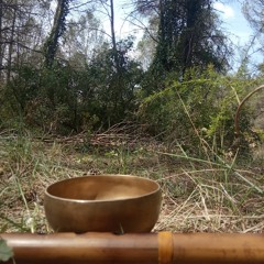 Forest flute Meditation