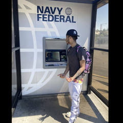 Navy Fed