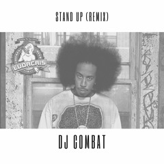 Ludacris - Stand Up (DJ Combat Remix)