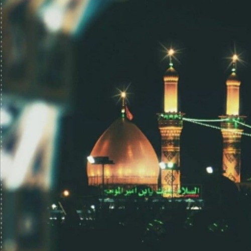 حسين مولى | الرادود علي مدلج