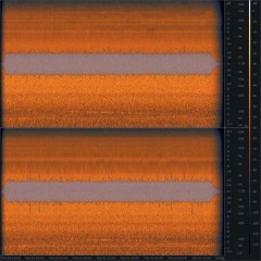 20180525 083034 CH Sihlwald Binzboden Sihl River