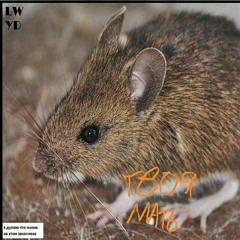 Твоя мать (prod. by Gusi Medn)