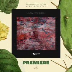 PREMIERE: Lidvall - Rebirth [Devotion Records]