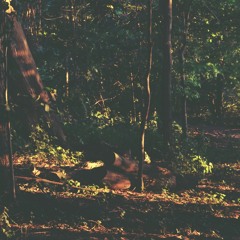 Incoming Call Demo Instrumental