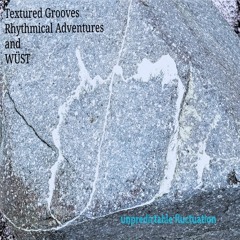 Unpredictable Fluctuation by Textured Grooves - Rhythmical Melodic Adventures  & WÜST
