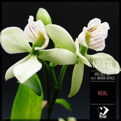 Real (Original Mix) [feat. Maria Opale]