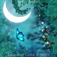 Butterflies Come At Night