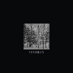 PREMIERE | Root - Ventrilux [Saraw]