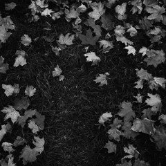 October Passed Me By - Remix