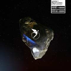Lumme & Miguel Lautaro - Rude Intention [Ãstrαλ]