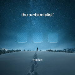 The Ambientalist - Wonders