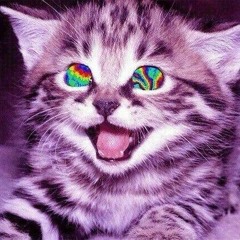 meow freestyle p. skeezybeats