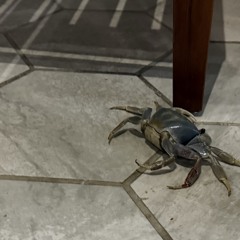 MaGik_B_demo_tech_rave.WAV