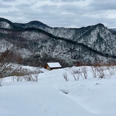 첫 눈의 고백 (First Snow)