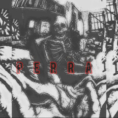 J BALVIN TOKISCHA - PERRA (MAUDEE HOUSE RMX)