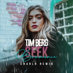 Tim Berg - Seek Bromance (Charlo Remix)
