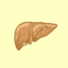 LEVERFALEN