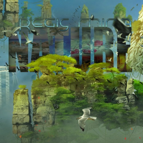 NATURE FULL VERSION By REGIS MINA 2021.MP3