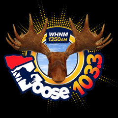JAM - The Moose 103.3 WHNM Jingles (Oldies 95 Composite)